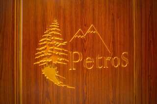 Отель Petros Hotel Буковель Двухместный номер с 1 кроватью или 2 отдельными кроватями-6